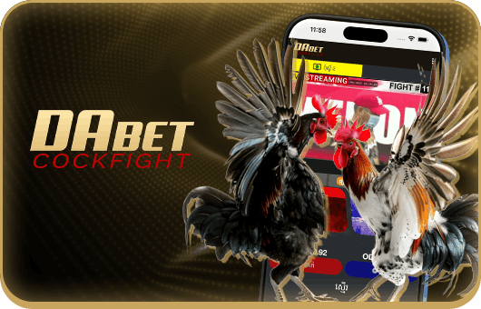 Ng78 cock fighitng